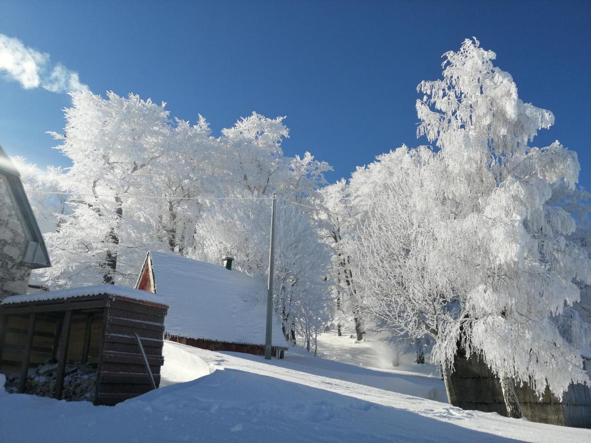 Mountain Village Жабляк Екстер'єр фото