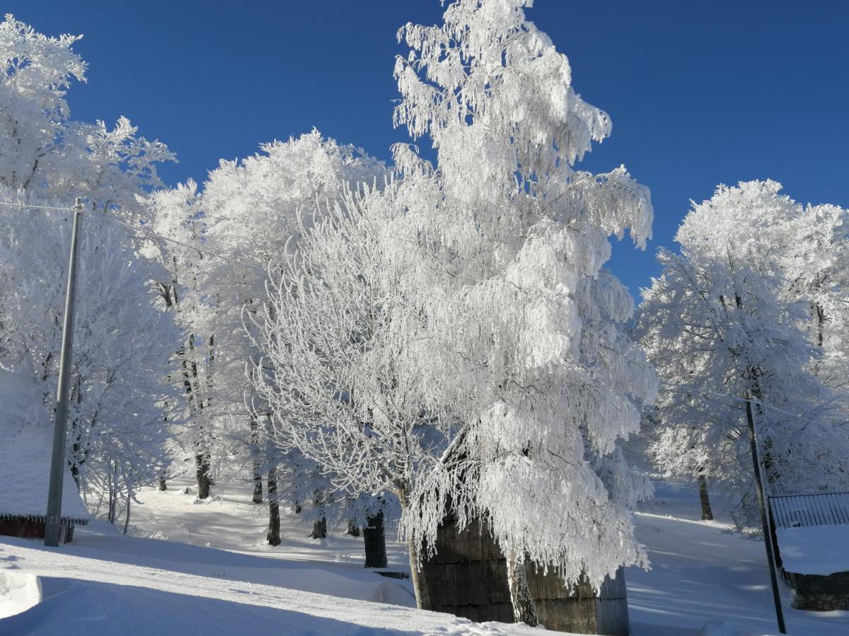 Mountain Village Жабляк Екстер'єр фото